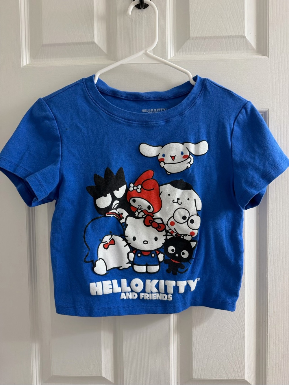Hello Kitty Blue Graphic Crop Tee Shirt with Friends Large L T Shirt